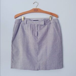 Talbots Navy and White Striped A-Line Skirt 18WP